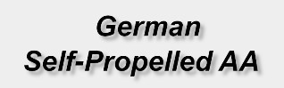 German Self-Propelled AA